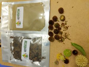 Red Vein Vietnam Kratom for sale 