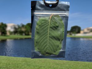 Hulu Kratom for sale freeship United States 