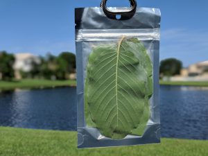 Hulu Kratom leaf for sale free ship