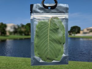 Hulu Kratom for sale freeship