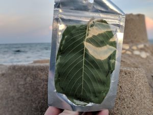 Pink Vein Og bali Kratom for sale 