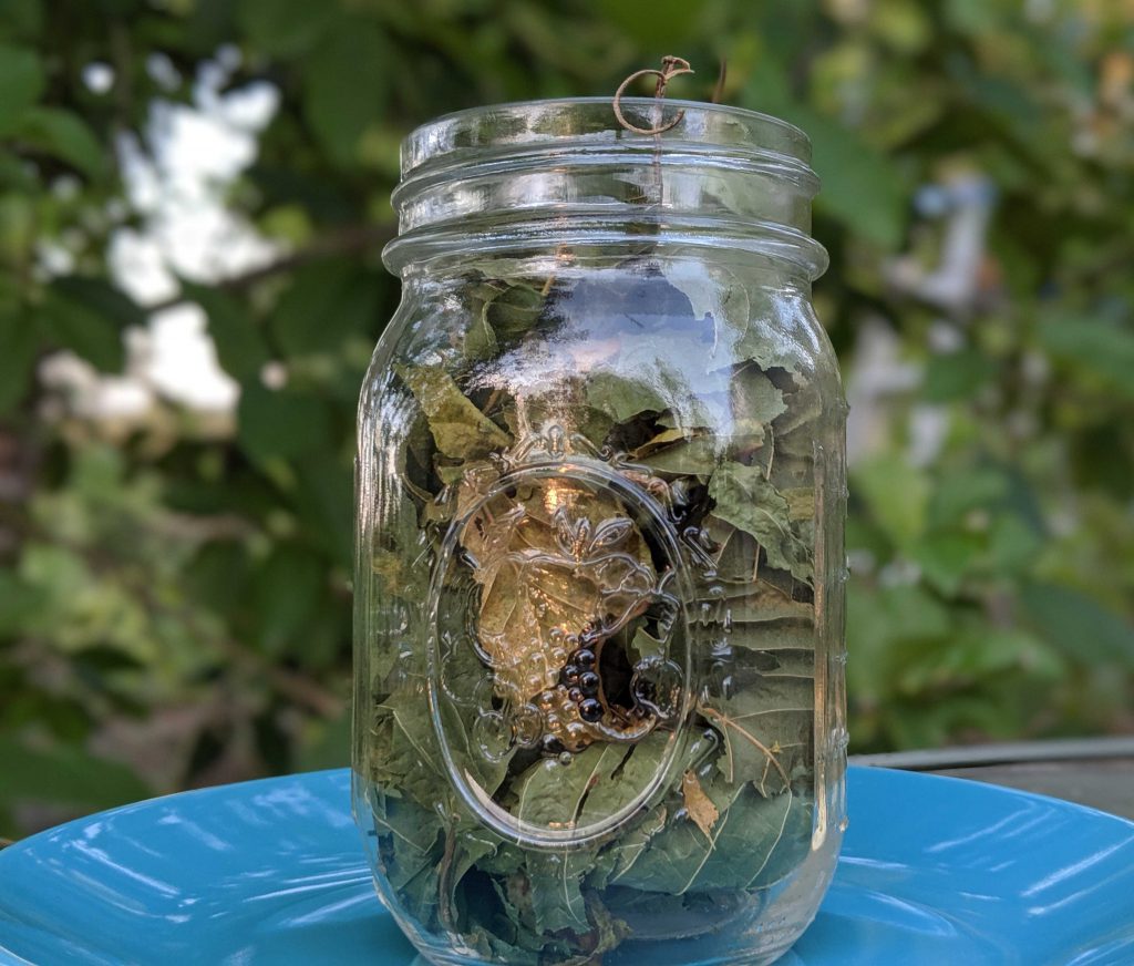 crushed kratom cushed kratom american leaf