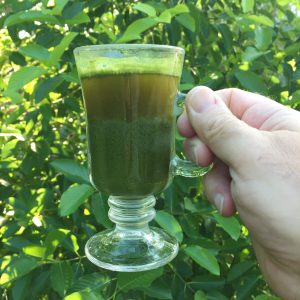 kratom powder in a cup of tea