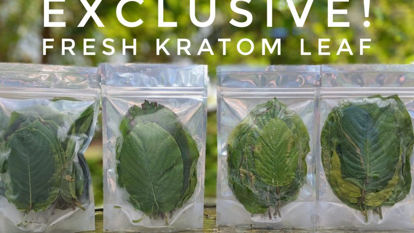 Exclusive American Kratom Leaf Promo