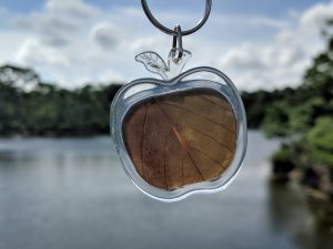 Apple Kratom Keychain hanging over a lake