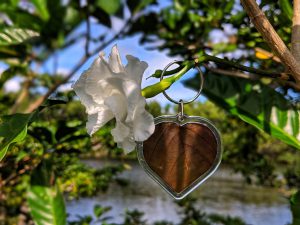 Kratom Heart Shaped Keychain on a branch