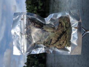 Buy local Kratom in Tallahassee Florida