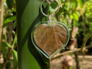 Borneo Kratom Red Vein keychain free shipping